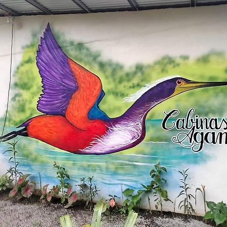 Cabinas Agamy Тортугеро Экстерьер фото